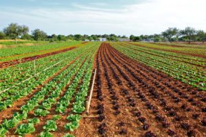Enhanced Agri-Food Workplace Protection Program