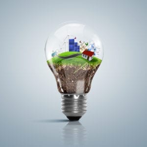 ecosystem clean tech bulb
