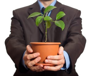 Businessman is holding a plant in pot