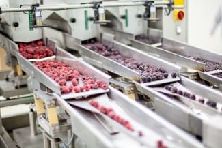5 Reasons Why Canadian Frozen Food Manufacturers Require Deeper ERP Capabilities