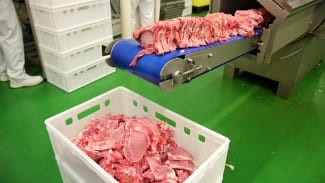 CAP’s AgriInnovate: $10M for Ontario Pork Producer