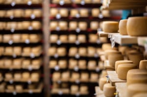 bigstock-Milk-cheese-on-a-shelves-40115914