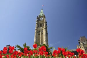 Tulip Festival in Ottawa