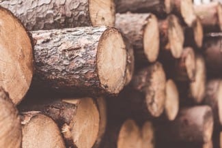 NOHFC Funding Supports Northern Ontario Forestry Industry with $1.4M