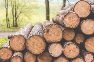 IFIT Program Invests $82.9M to Support the Canadian Forest Industry