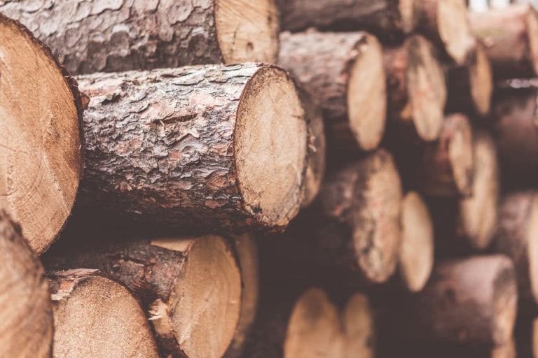 Ontario Forest Biomass Program (FBP) – Receive Up to $10M for Increasing Wood Utilization
