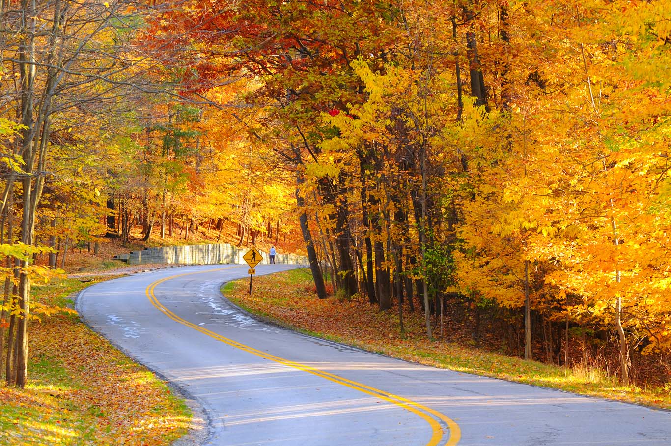 A curving autumn road with a hiker in the far distance
